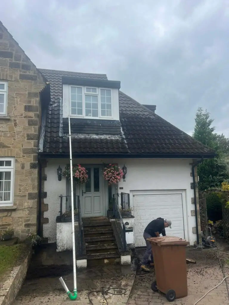 moss removal form tiled roof