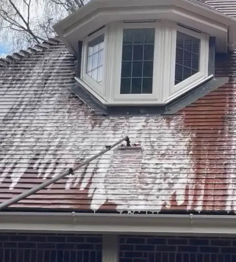 Soft washing solution applied on roof