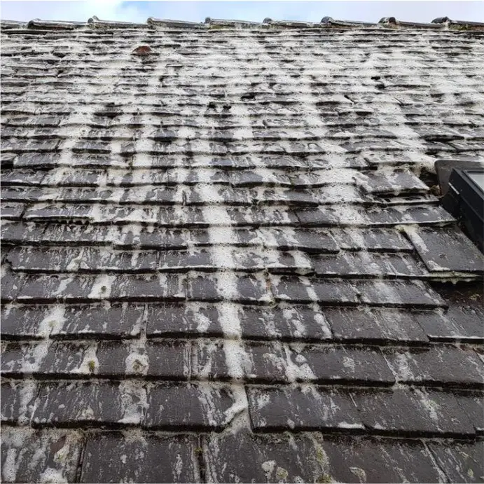 Roof tiles covered with Soft washing solution