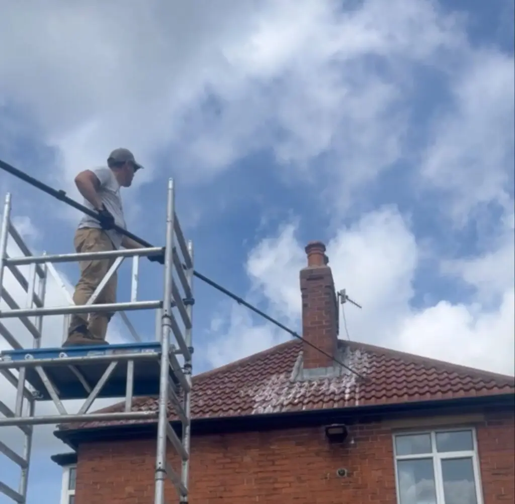 biocide aplication with brush