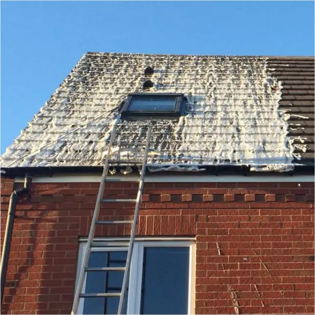 biocide applied on the roof after cleaning